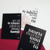 Cumpara ieftin Set Am sa te iubesc pana la sfarsitul lumii (3 carti + 1 audiobook)