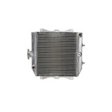 Radiator HONDA TRX 420 500 2007 2014