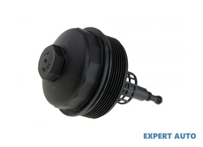 Capac suport filtru ulei BMW Z4 (2003-&amp;gt;) [E85] #1 foto