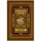 Insula misterioasa. Abandonul, Jules Verne