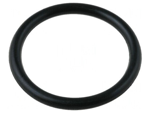 O-ring FIS-ADAP30 Set 10 Bucăți