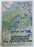 DEPOZITELE MEZOZOICE DIN MUNTII VILCAN de GRIGORE POP , 1973