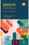 Arhipelag. Pagini de critica si comparatistica literara - Cezar Boghici