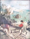 BRUEGEL. ALBUM DE PICTURA-ION BIBERI-352050