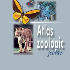 Atlas Zoologic școlar - Hardcover - Zoe Partin - Corint