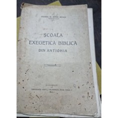 SCOALA EXEGETICA BIBLICA DIN ANTIOHIA-PREOT DR. MIHAIL BULACU