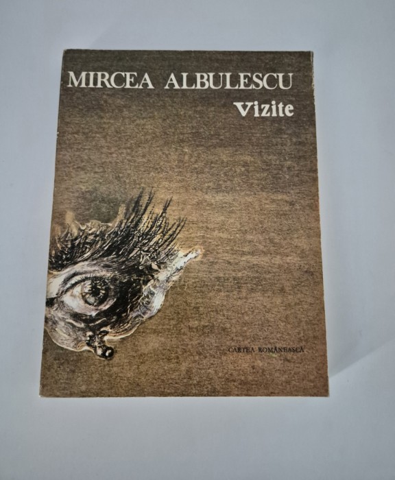 Mircea Albulescu Vizite Versuri