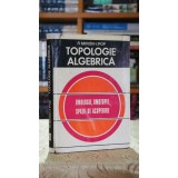 Topologie algebrica. Omologie, omotopie, spatii de acoperire - I. Pop, R. Miron