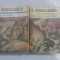 vol. I CAPUL DE ZIMBRU (Povestiri, I) * vol. II IUBIRE MAGICA (Povestiri, II) / ZAHEI ORBUL (roman) - V. VOICULESCU