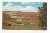 FA125 -Carte Postala- SUA - Grand Canion desert, Arizona, necirculata