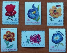 RO.-1971-&amp;#039;&amp;#039;flori&amp;#039;&amp;#039;- SERIe de 6V.- MNH-NESTAMP. foto