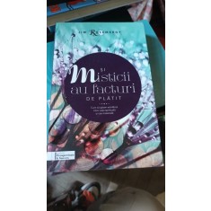 Si Misticii au Facturi de Platit (cum sa gasim echilibrul intre viata spirituala si cea materiala) - Jim Rosemergy