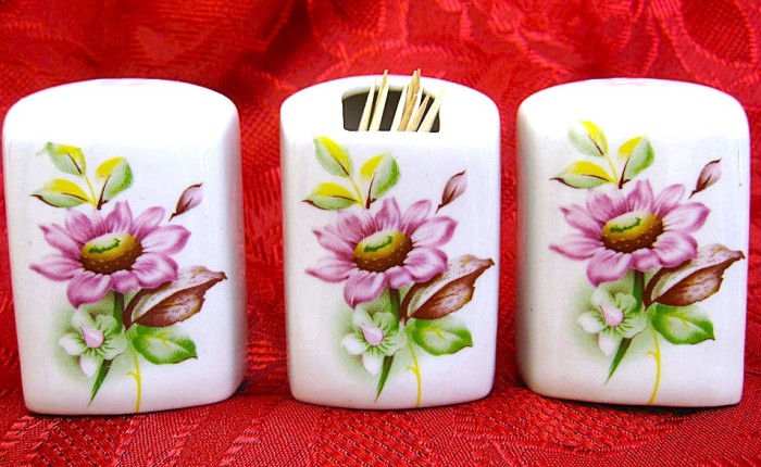 SET SOLNITE PORTELAN SARE PIPER SI SUPORT SCOBITORI