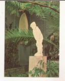 FA121 -Carte Postala- UCRAINA - Crimeea. Alupka. A nook of the winter garden in the Palace Museum, necirculata 1971