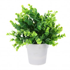 Planta artificiala decorativa cu frunza rotunjita, H 24 cm, in ghiveci plastic alb, 8.5x9cm foto