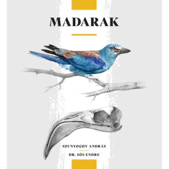 Madarak - Dr. S&oacute;s Endre