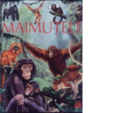 Maimutele pe intelesul copiilor - Emilie Beaumont, Raphaelle Chauvelot, Franco Tempesta
