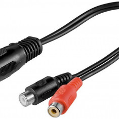 Cablu adaptor DIN tata 180掳 (5-pin) > 2x RCA mama 0.2m, Goobay