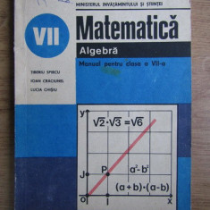 Tiberiu Spircu, Ioan Craciunel - Matematica. Algebra. Manual pentru...