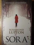 Sora - Rosamund Lupton, Editura Litera, 2012, Roman, 430 pagini, Paperback