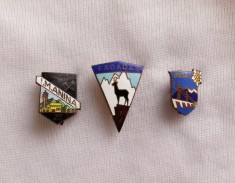 Insigne simbol - Anina, Fagaras si Bicaz