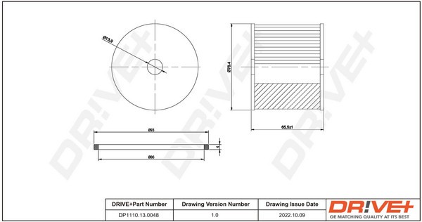 Dr!ve+ DP1110.13.0048 filtru combustibil