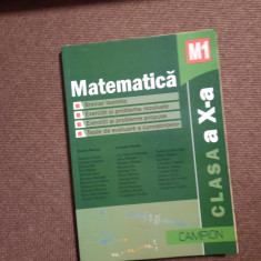 MATEMATICA CLASA A X A EXERCITII SI PROBLEME REZOLVATE BURTEA 17/2