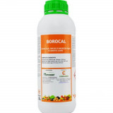 Fertilizant foliar Borocal 1 l, Codiagro