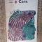 CORA-VIRGIL DUDA