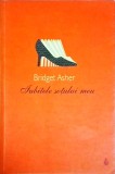 Iubitele sotului meu - Bridget Asher, Curtea Veche, Roman, Beletristica, 2012, 288 pagini