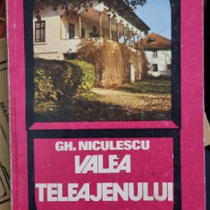 VALEA TELEAJENULUI DE GH. NICULESCU