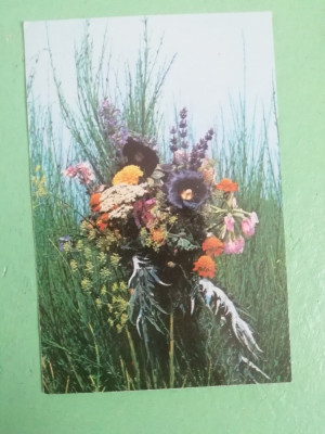 C9 26 - 1979 - Calendar de buzunar - reclama Trustul Plafar foto