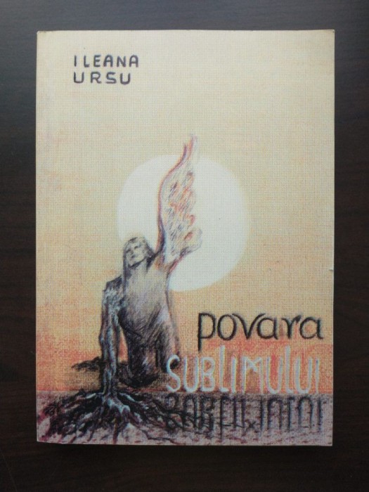 Ileana Ursu - Povara sublimului: monografie Mihai Moldovan