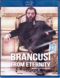 Blu Ray Film: Brancusi din eternitate ( origional, stare foarte buna ), Romana