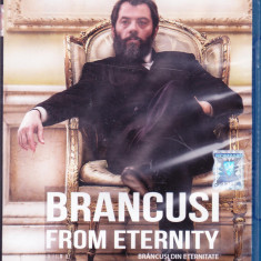 Blu Ray Film: Brancusi din eternitate ( origional, stare foarte buna )