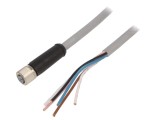 Cablu Conectare M12 Drept 3m M12 Mamă Dreaptă