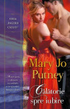 Călătorie spre iubire (Vol. 4) - Paperback brosat - Mary Jo Putney - Litera, 2019