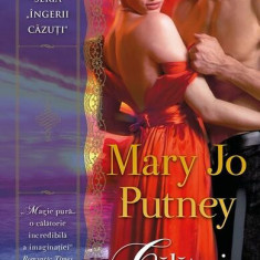 Călătorie spre iubire (Vol. 4) - Paperback brosat - Mary Jo Putney - Litera