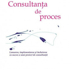 Consultanta de proces. Lansarea, implementarea şi încheierea cu succes a unui proiect de consultanţă - Paperback brosat - Alan Weiss - BMI