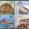 Fauna - Animale tip &#039;&#039;leopard&#039;&#039;, 2020, LP 2290, MNH