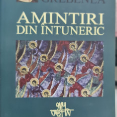 AMINTIRI DIN INTUNERIC PR NICOLAE GREBENEA 2005 DETINUT POLITIC LEGIONAR 544 P