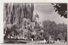 bnk cp Radauti - Vedere din parcul orasului - uzata foto