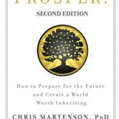 Prosper!: How to Prepare for the Future and Create a World Worth Inheriting