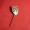 Insigna veche- Club Fotbal - Precizia Sacele ,h= 1,7cm ,metal si email
