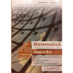 Matematica Clasa a IX-a Probleme si exercitii, teste