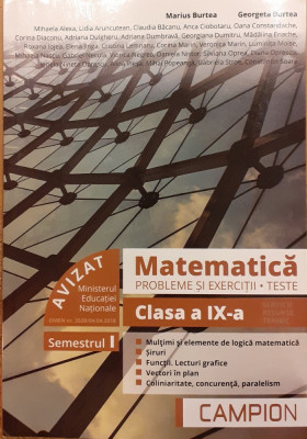 Matematica Clasa a IX-a Probleme si exercitii, teste foto