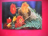 HOPCT 25232 FLORI - FELICITARE ANIVERSARA - - - CIRCULATA