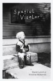 Cumpara ieftin Spatiul viselor/David Lynch, Kristine McKenna