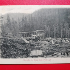 Cherestea in Bicaz langa Piatra Neamț