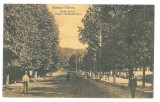 4760 - RAMNICU-VALCEA, Ave. Tudor Vladimirescu, Romania - old postcard - unused